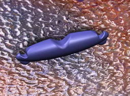 海華工程塑料廠生物產(chǎn)品研發(fā)的創(chuàng)新路徑與戰(zhàn)略展望